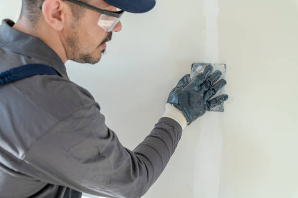 Best Touch-Up Painting  in Merrydale, LA